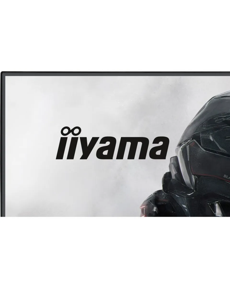 Monitor Iiyama G-master 24