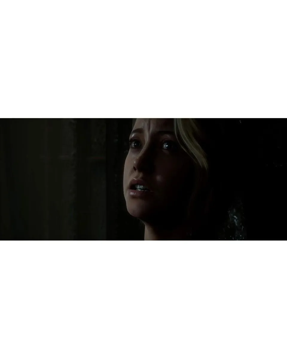 PS4 The Dark Pictures Anthology - Man of Medan 