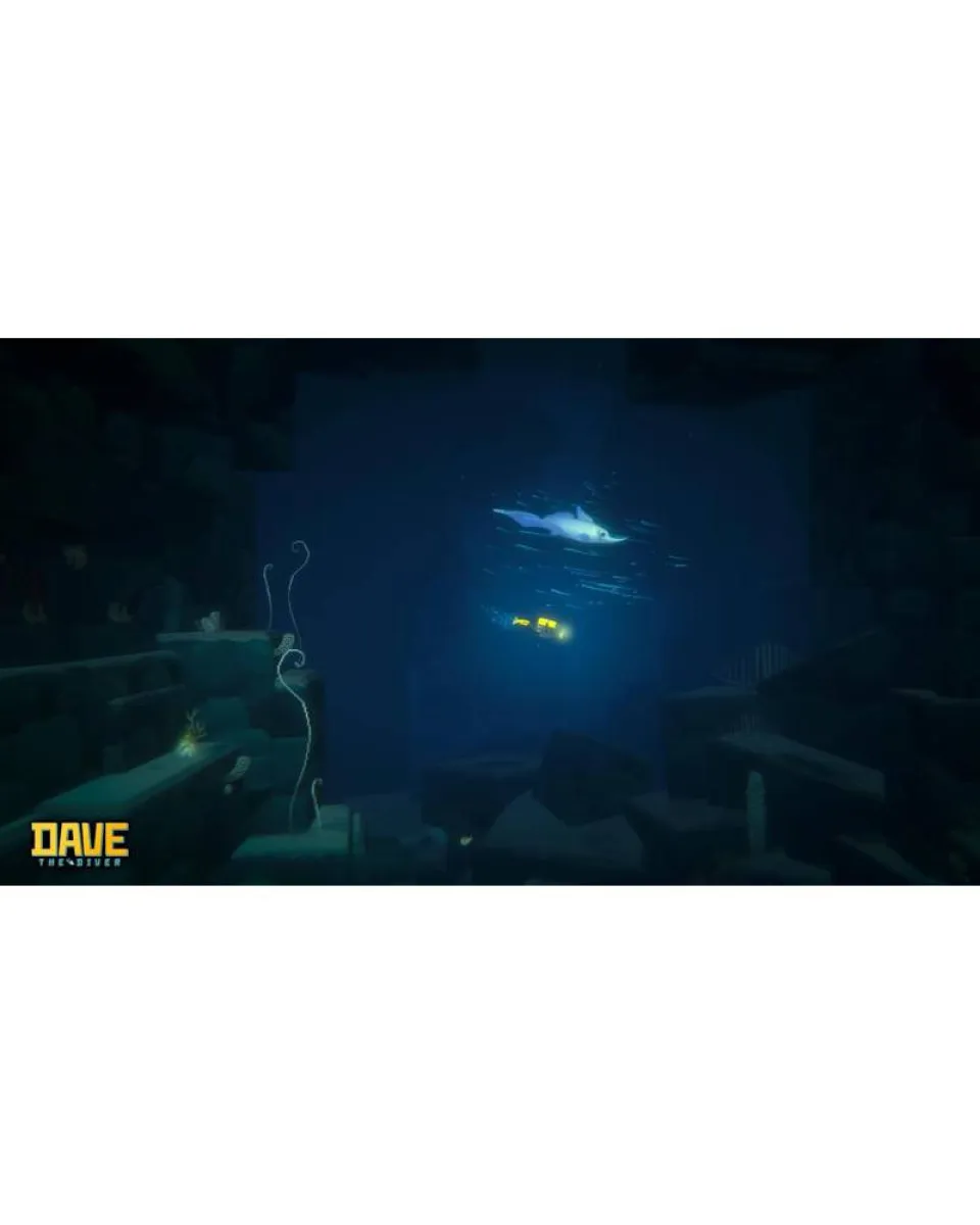 Switch 2 Dave The Diver - Collector's Edition 