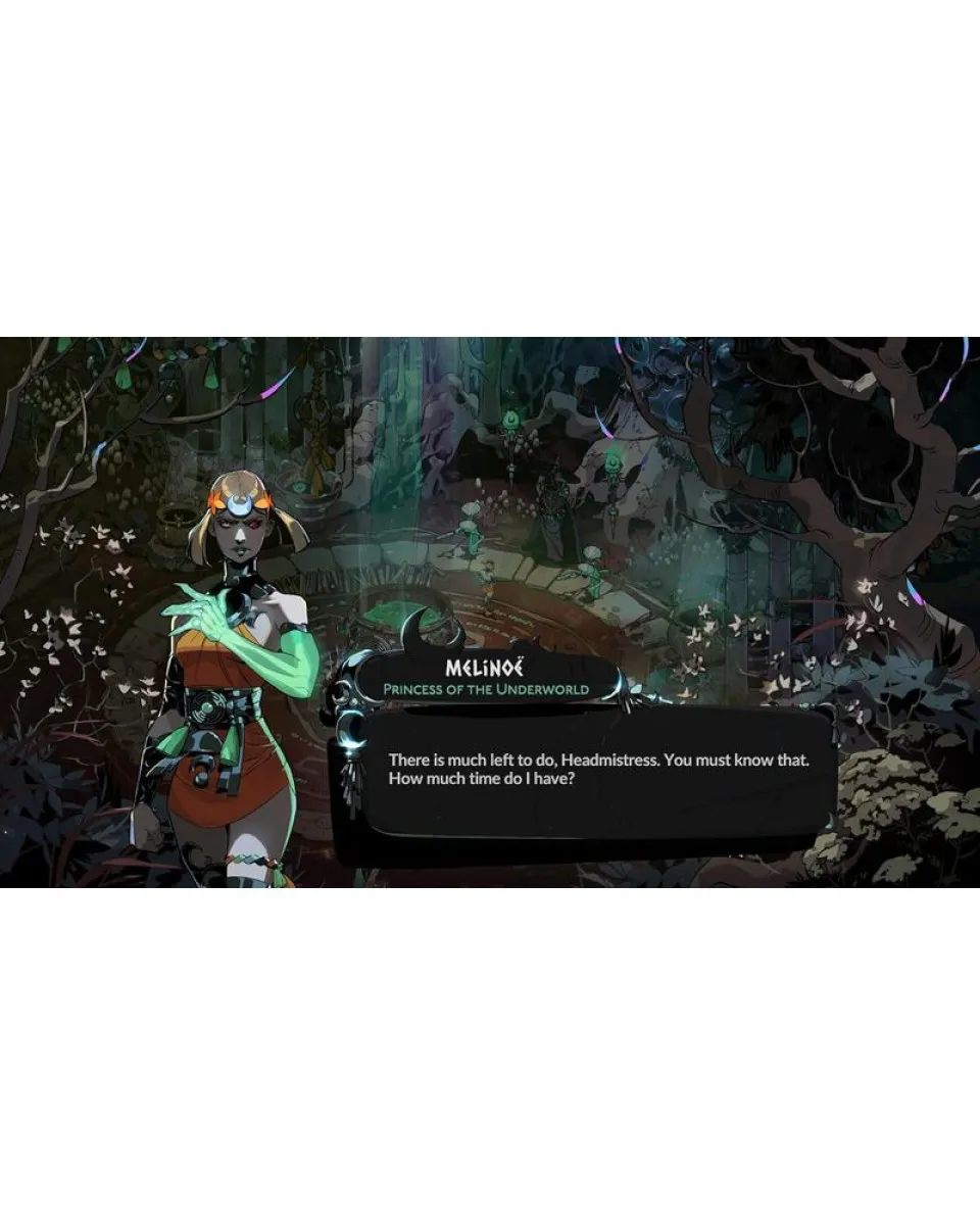 Switch 2 Hades 2 - Collectors Edition 