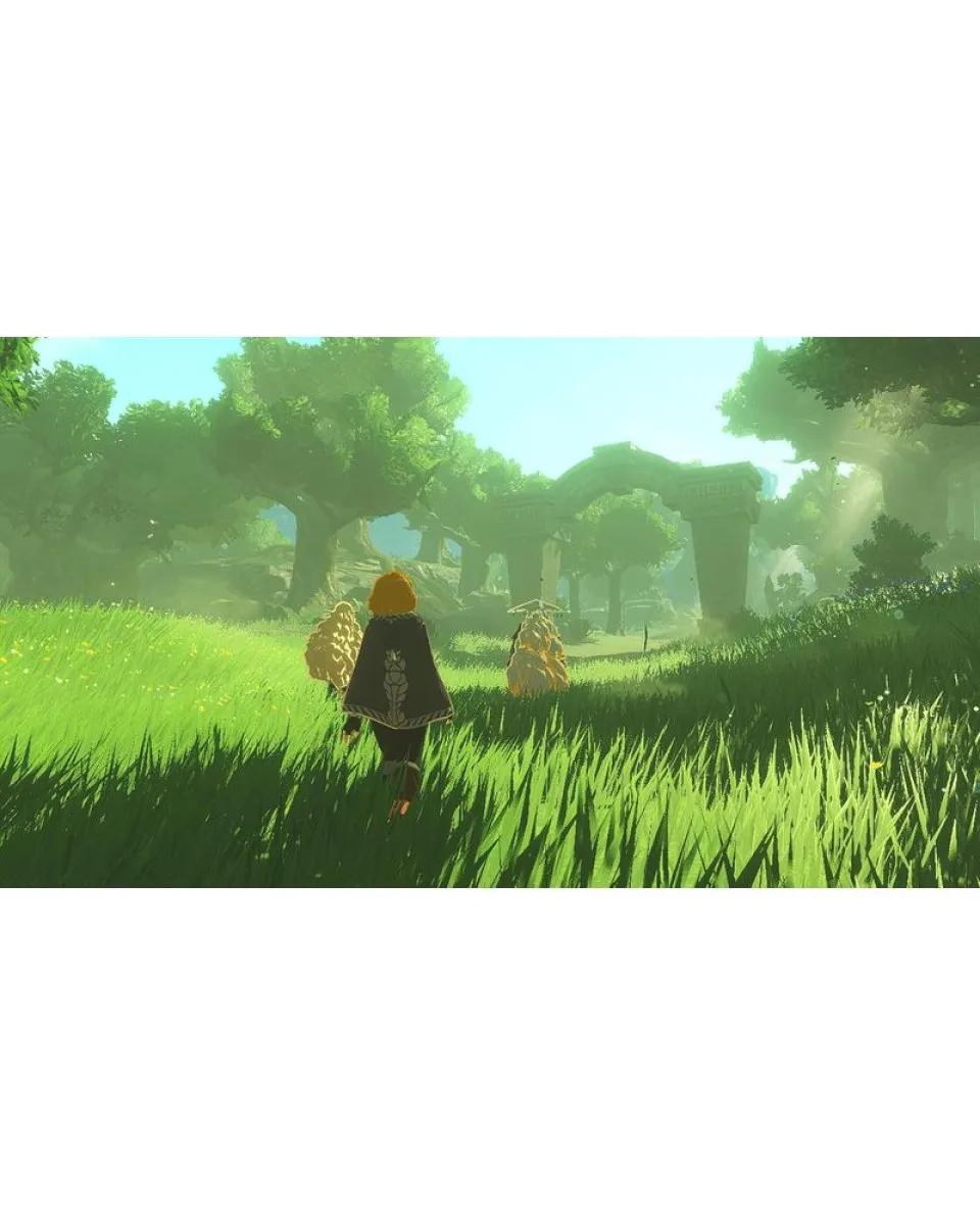 Switch 2 Hyrule Warriors - Age Of Imprisonment 