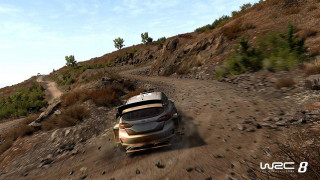 Switch WRC 8 