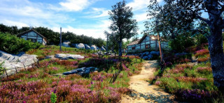 PS4 Shenmue 3 - Day 1 Edition 