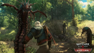 PS4 The Witcher 3 The Wild Hunt Game Of The Year Edition