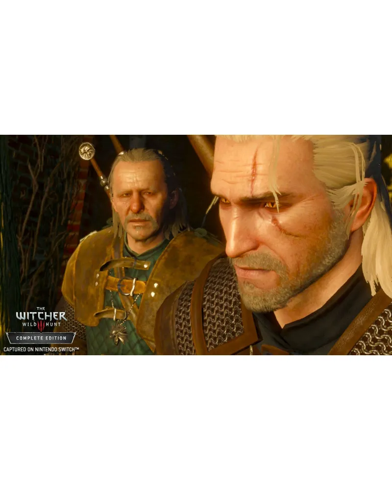 Switch The Witcher 3 Wild Hunt - Complete Edition 